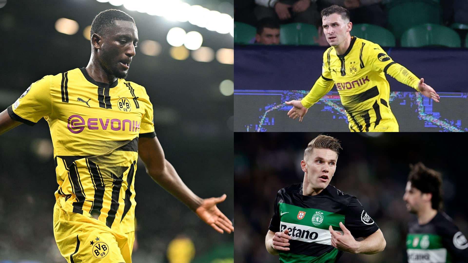 这一说法既 这一说法既