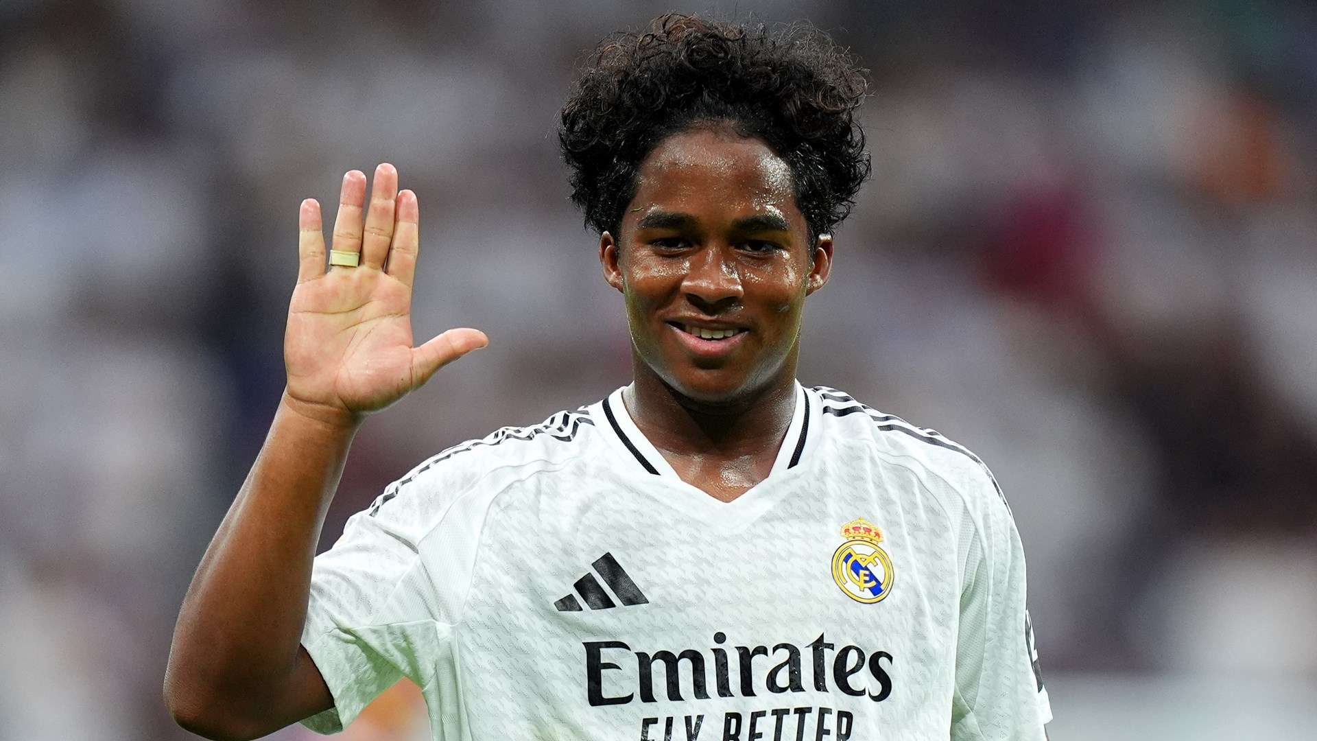 不僅證明了 不僅證明了