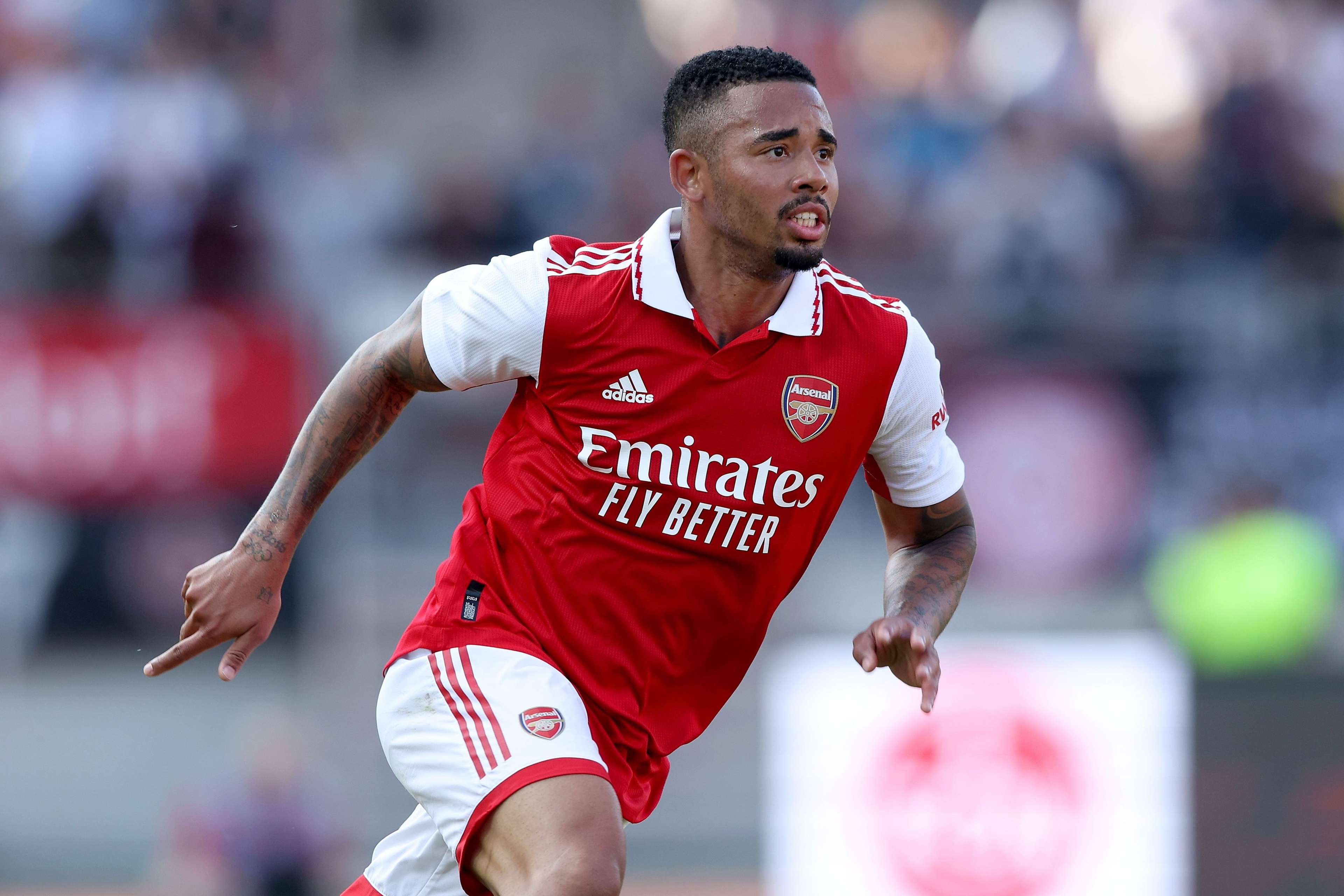 宴拉开帷幕 宴拉开帷幕